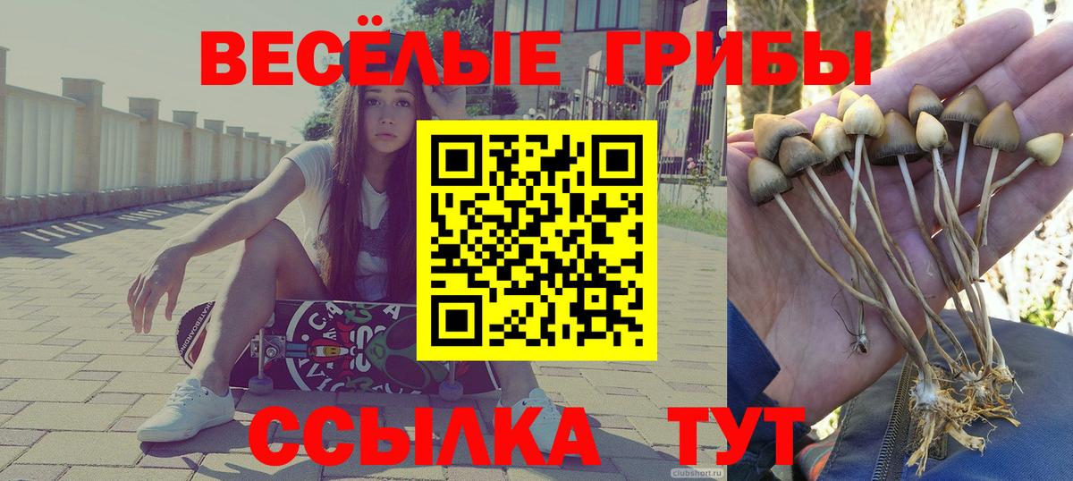 Можга  Галлюциногенные грибы мухоморы  Вход с VPN 